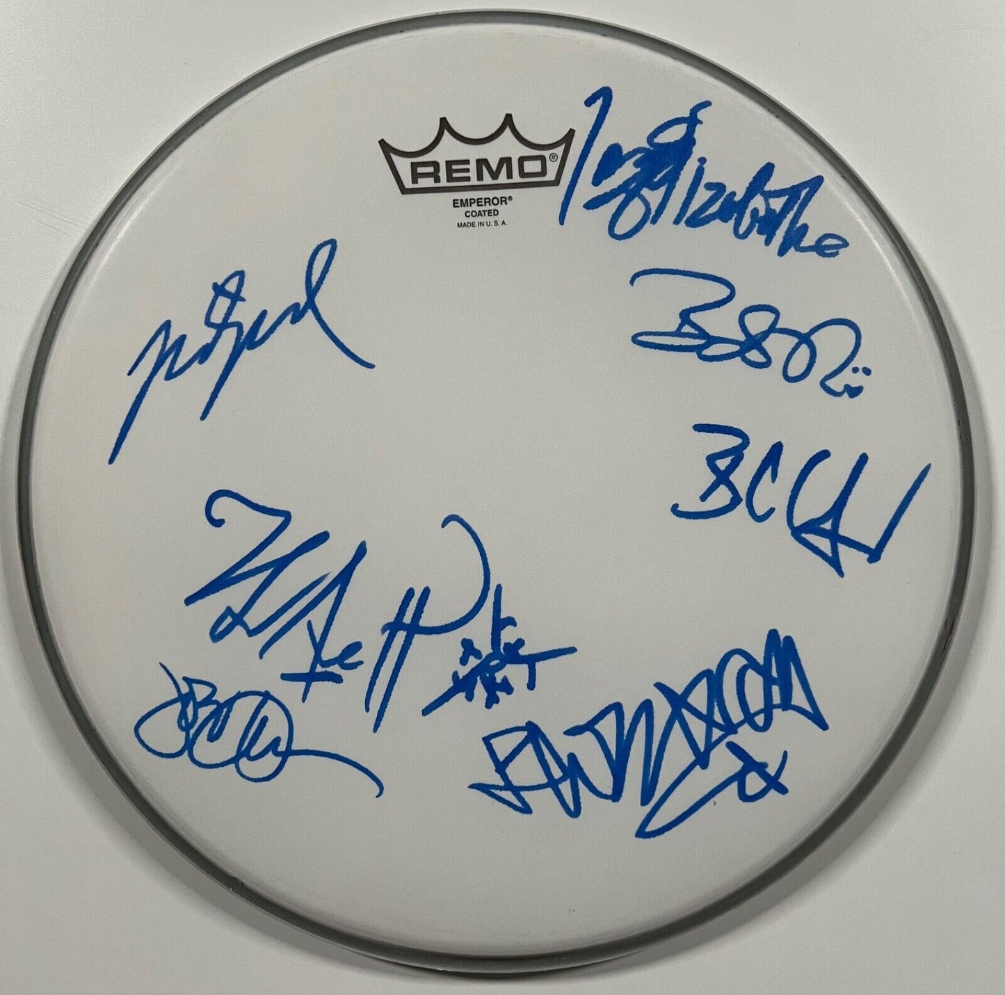 The Avett Bothers Fully Signed Autograph Drum Head REAL Epperson COA 12"