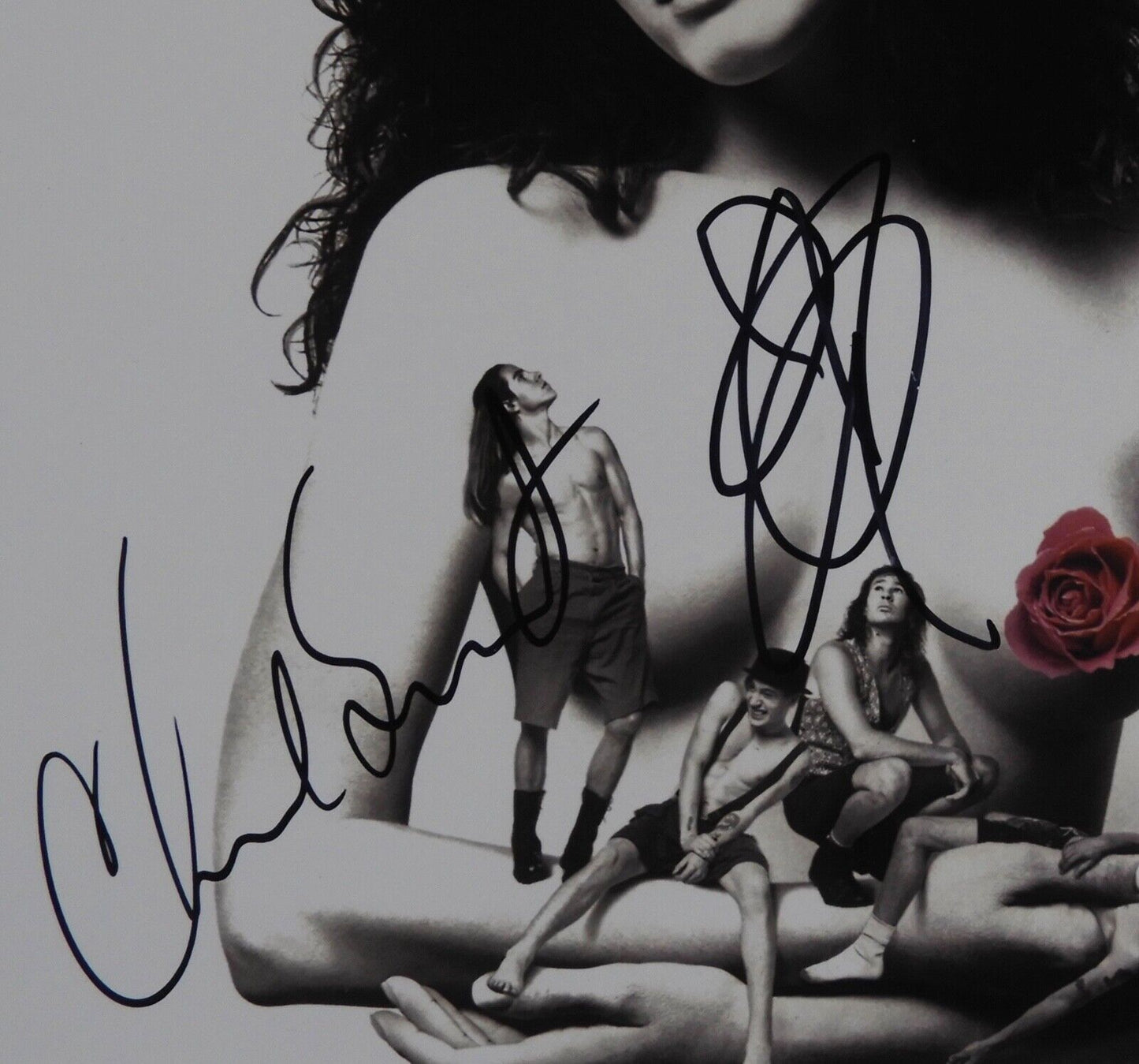 Red Hot Chili Peppers Signed Autograph JSA Album Photo Mothers Milk