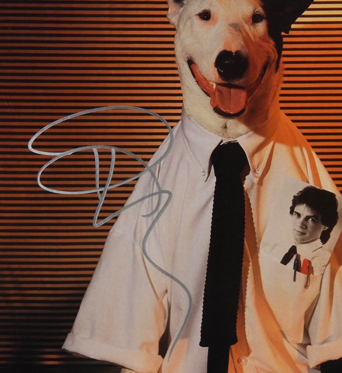 tRick Springfield JSA Autograph Signed Album Vinyl Record Working Class Dog
