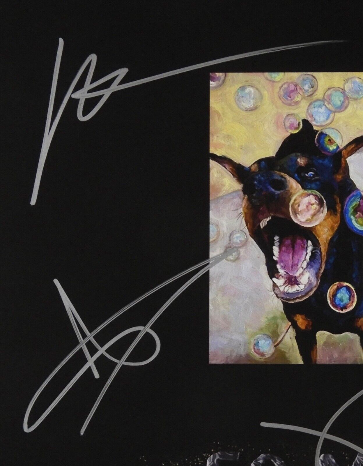 Fall Out Boy  JSA Fully Signed Autograph Album Record Vinyl So Much For Stardust