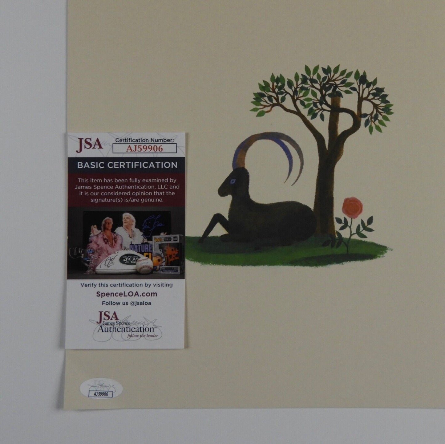 The Decemberists Signed Autograph JSA Album Insert Booklet