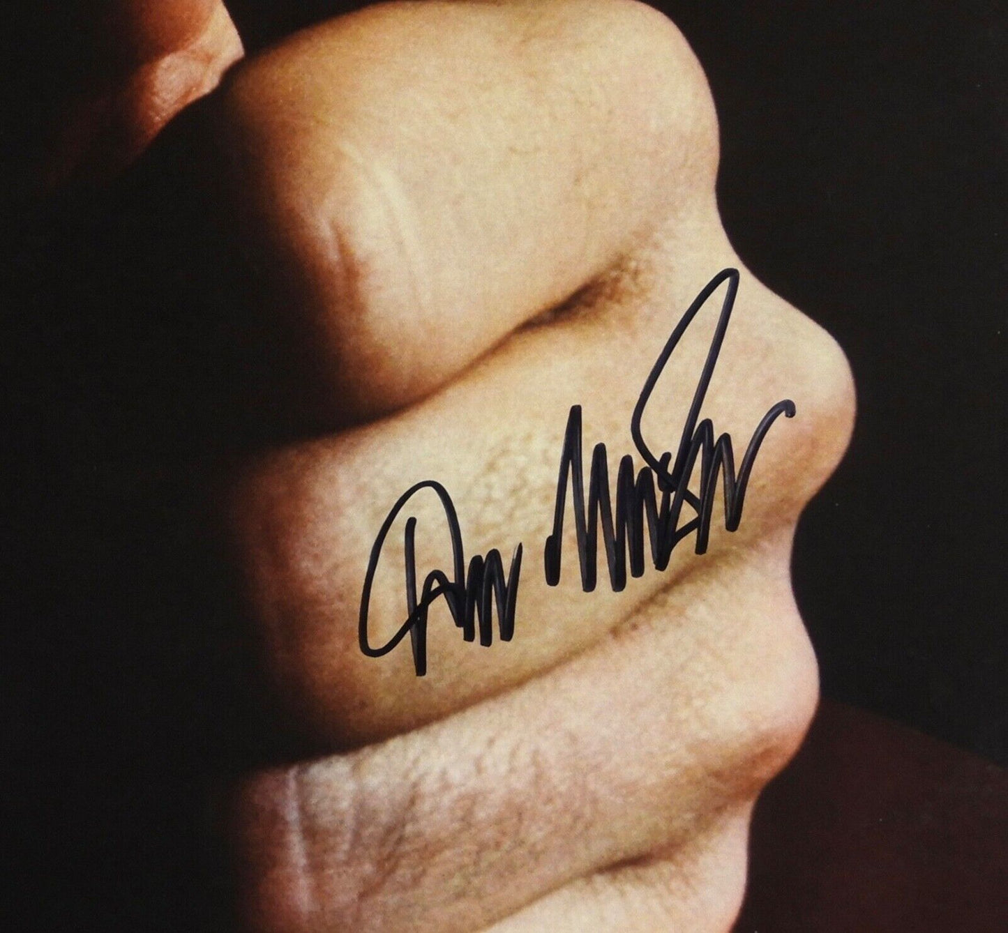 Don Mclean JSA Signed Autograph Album Record Vinyl American Pie