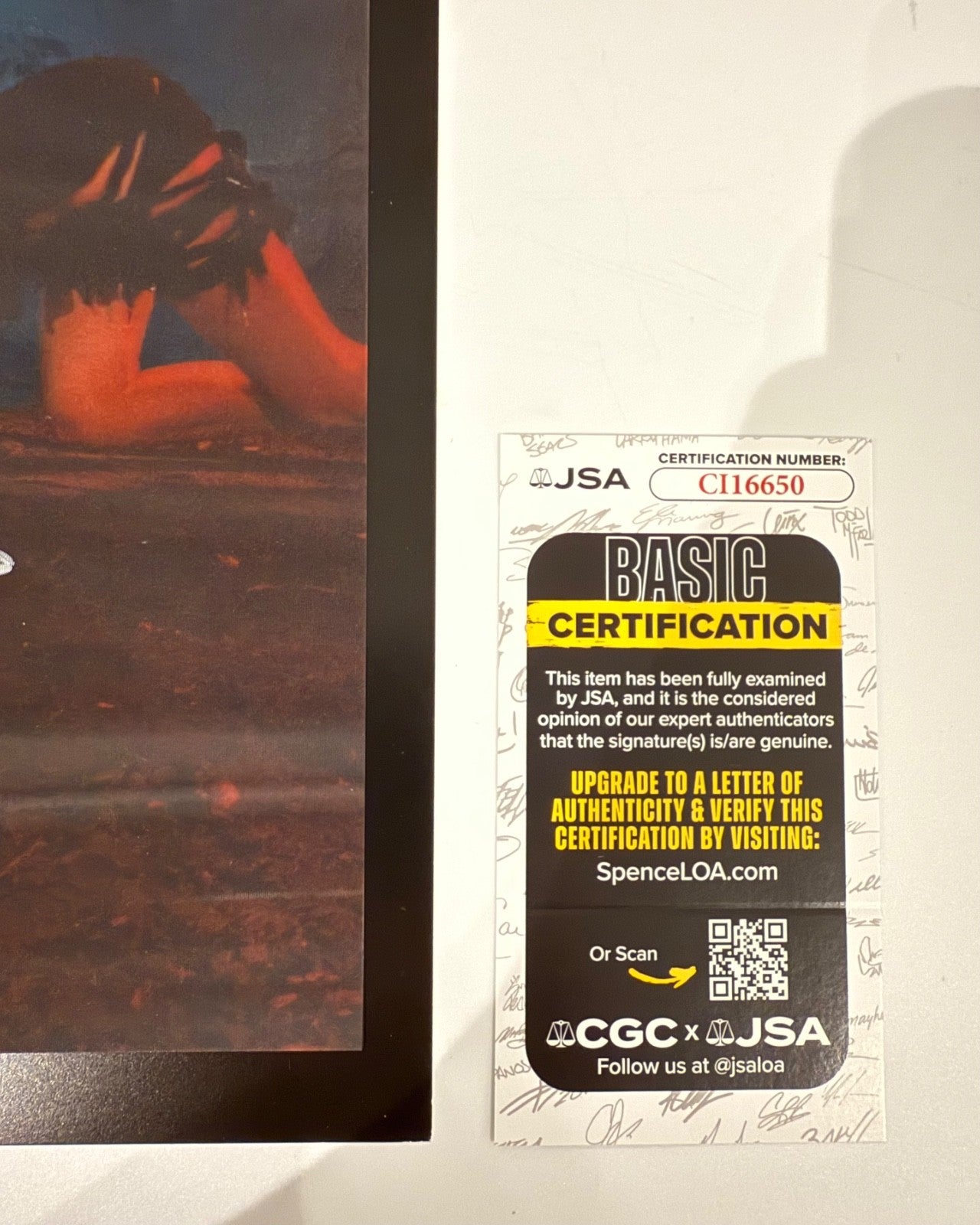 45847100