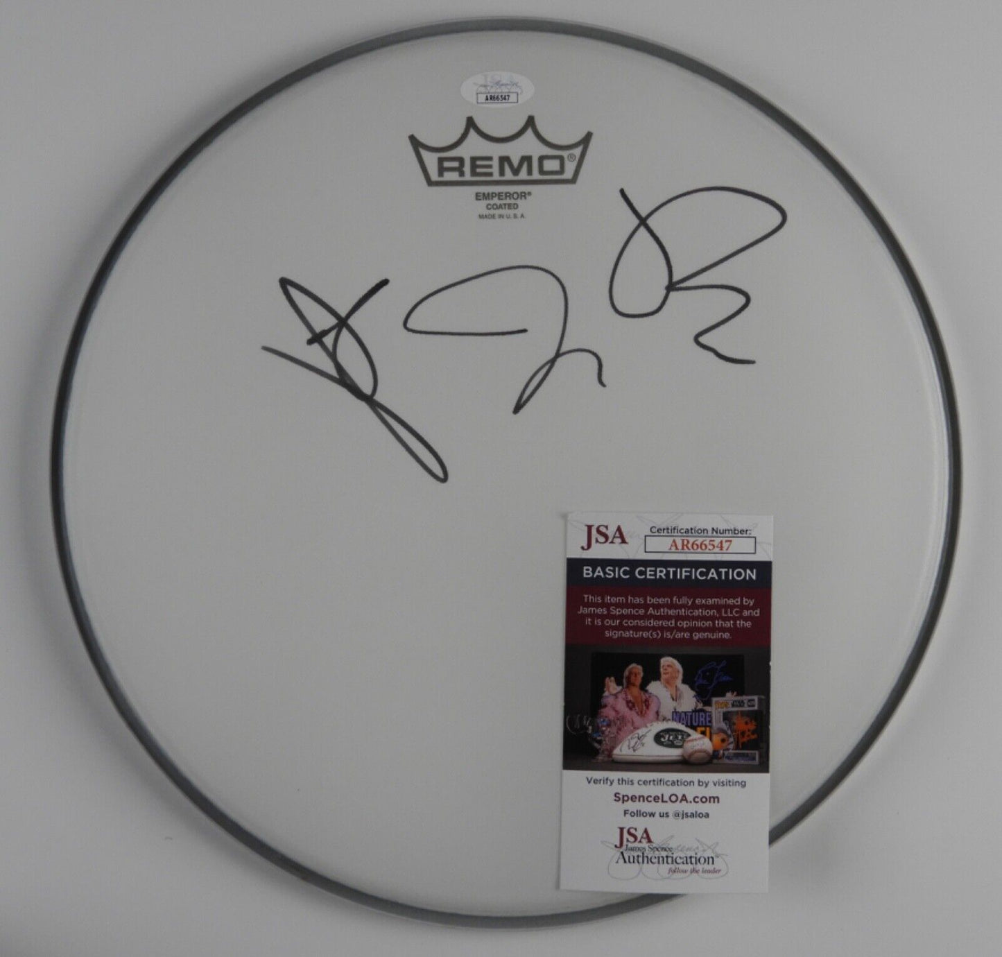 Fall Out Boy JSA Signed Autograph Drum Head  12"