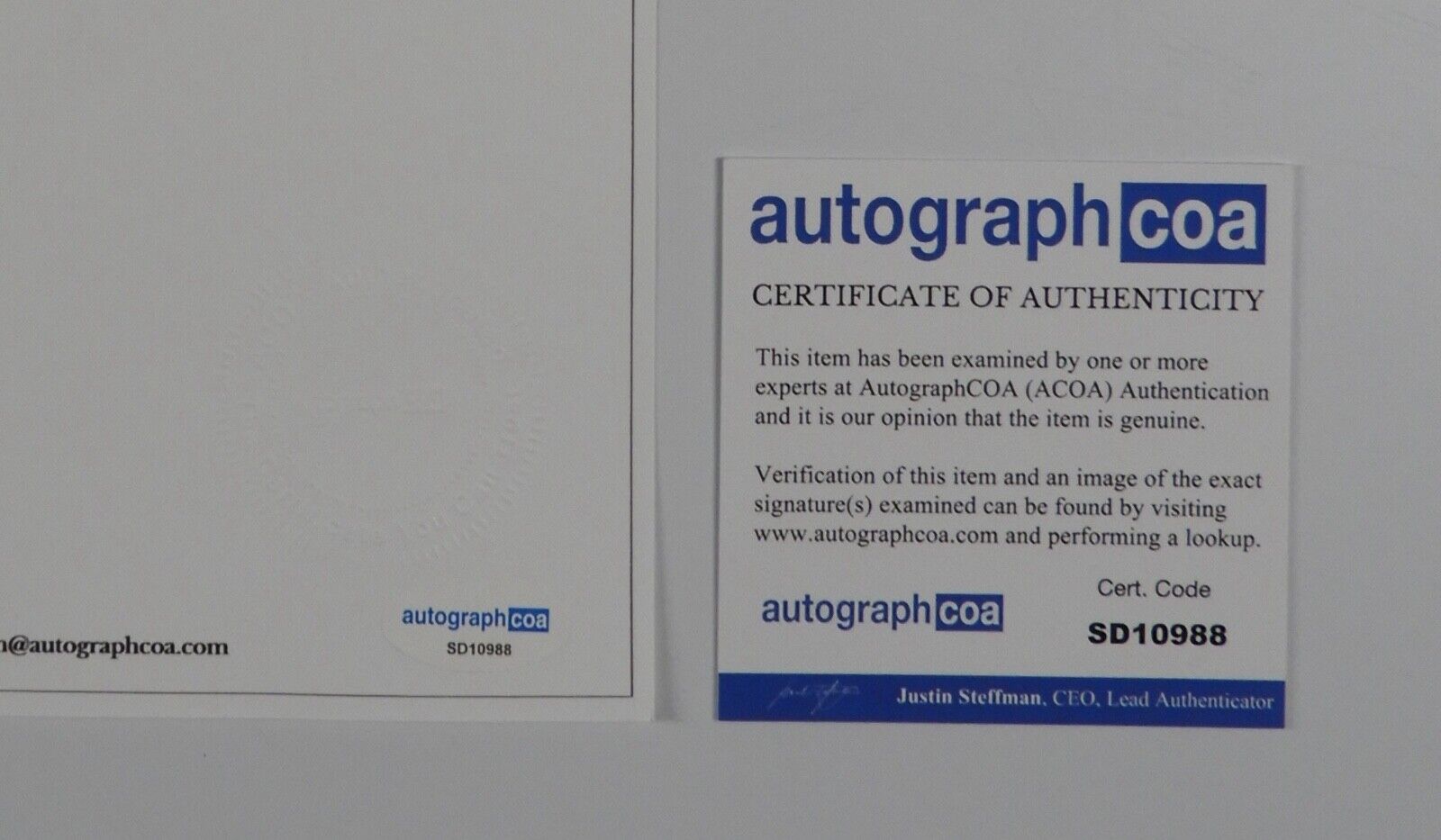 44264006