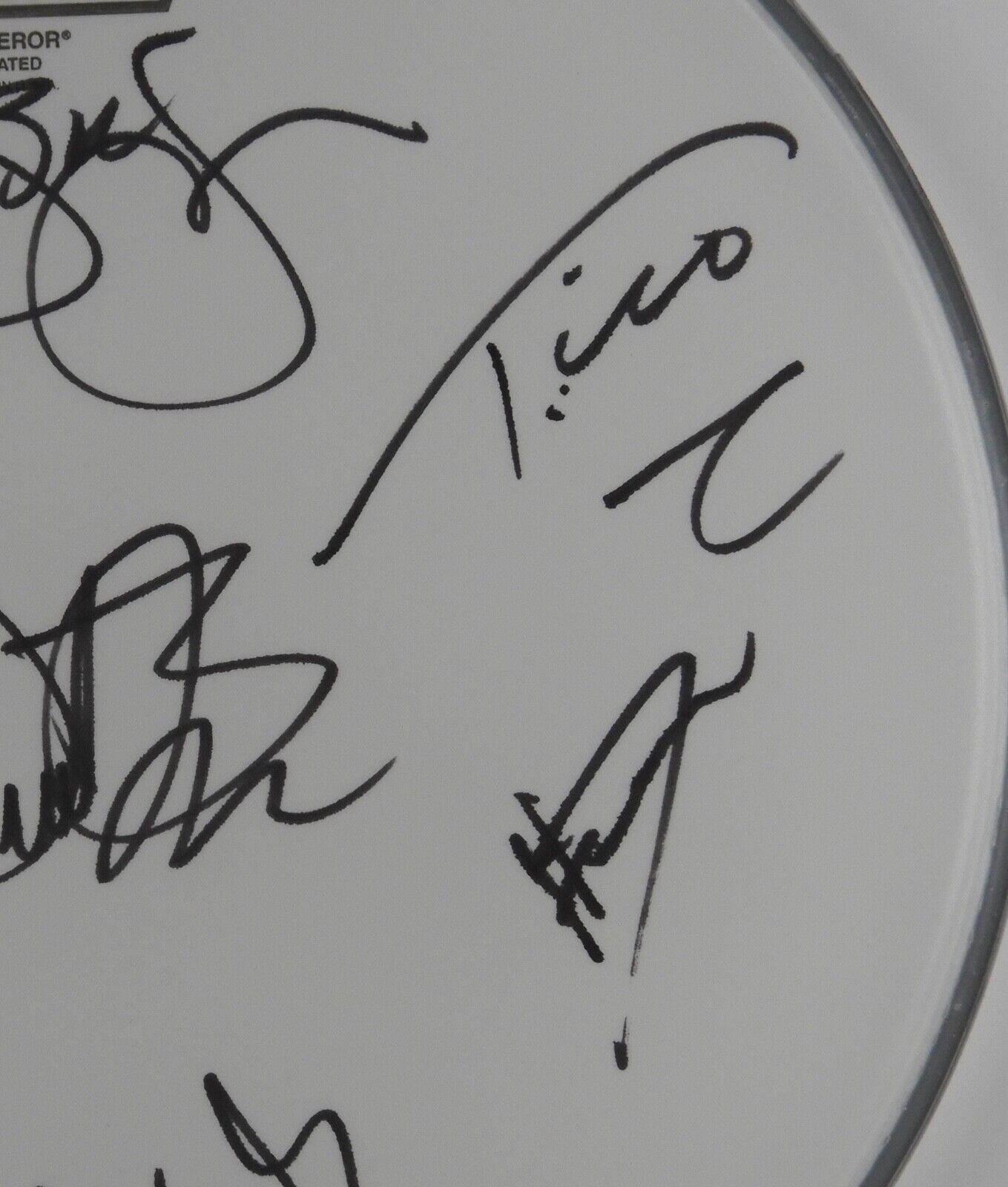 Bon Jovi Fully Signed JSA Autograph Drum Head Jon Bon Jovi