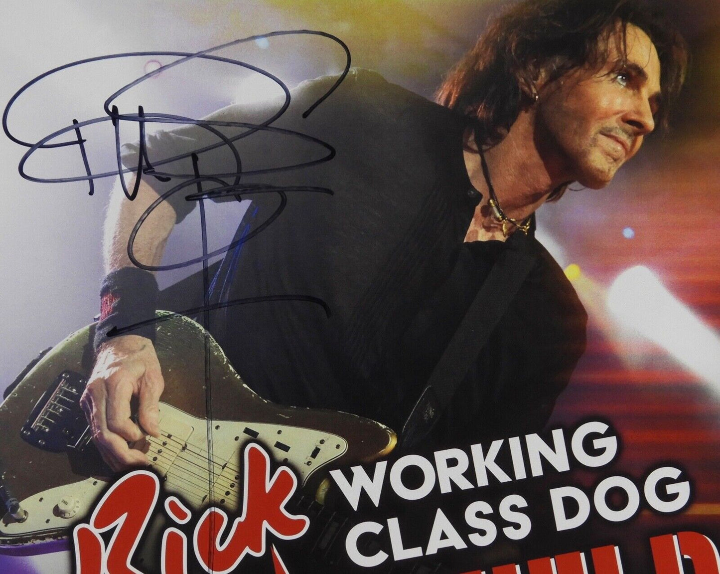 Rick Springfield JSA Autograph Signed Working Class Dog Concert Program