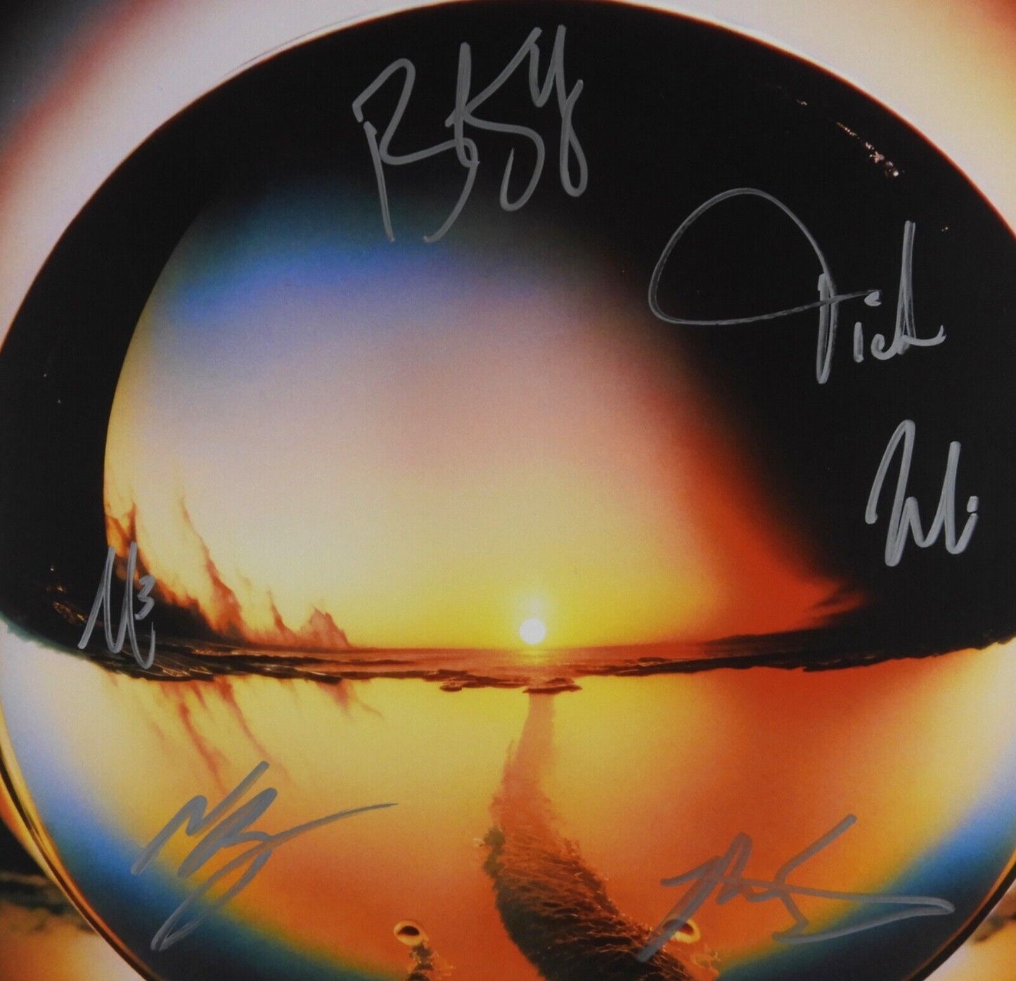 Cage The Elephant Fully JSA Signed Autograph Album Record Neon Pill