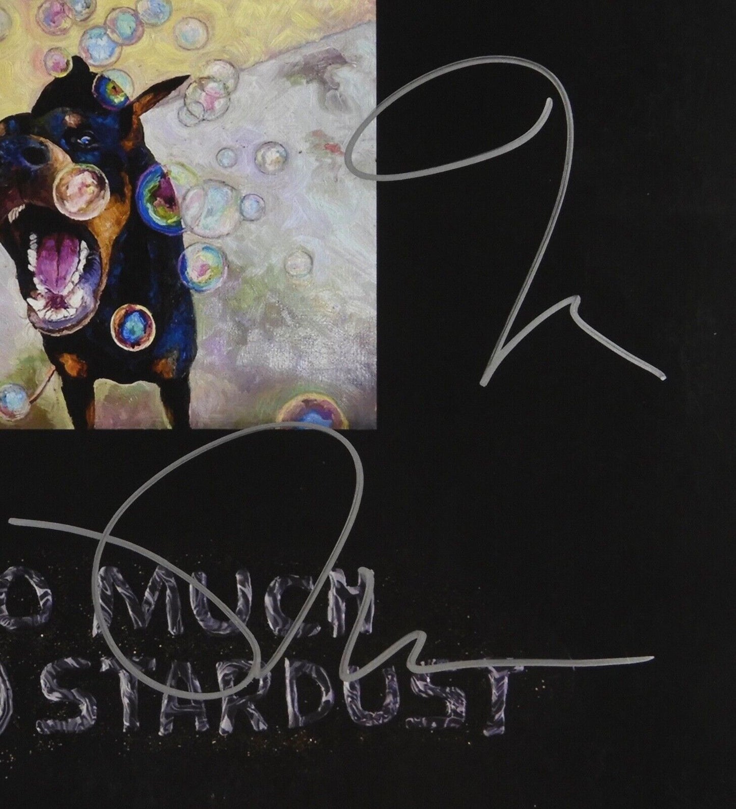 Fall Out Boy  JSA Fully Signed Autograph Album Record Vinyl So Much For Stardust