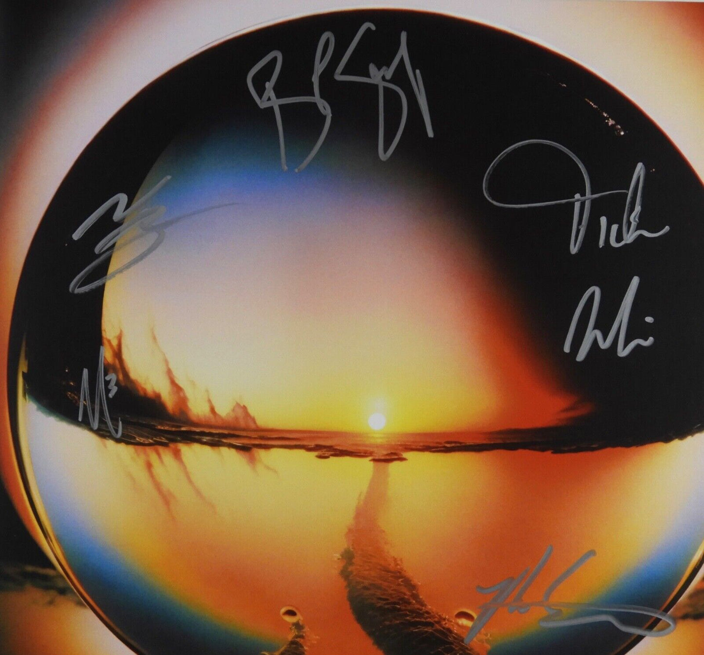 Cage The Elephant Fully JSA Signed Autograph Album Record Neon Pill