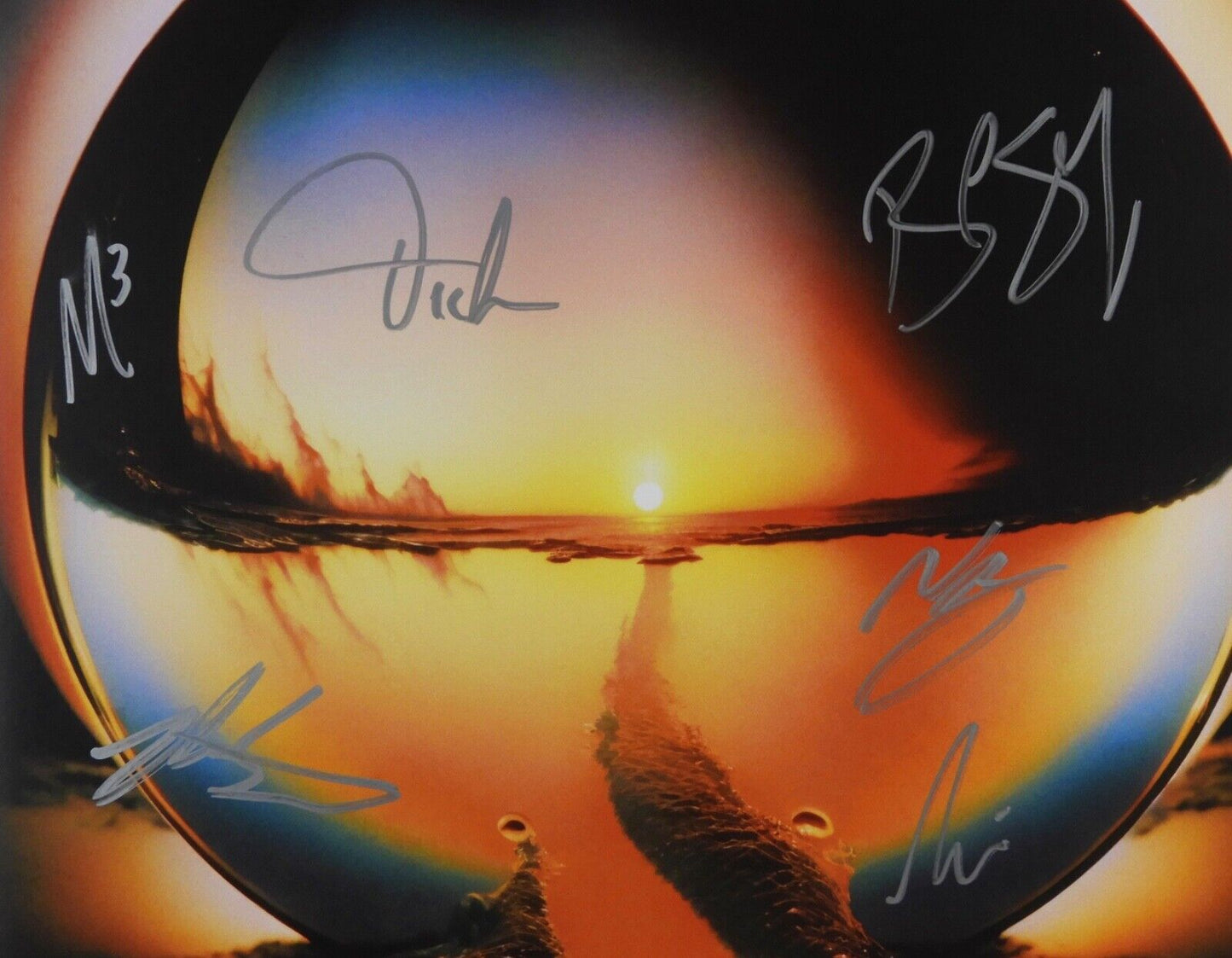 Cage The Elephant Fully JSA Signed Autograph Album Record Neon Pill