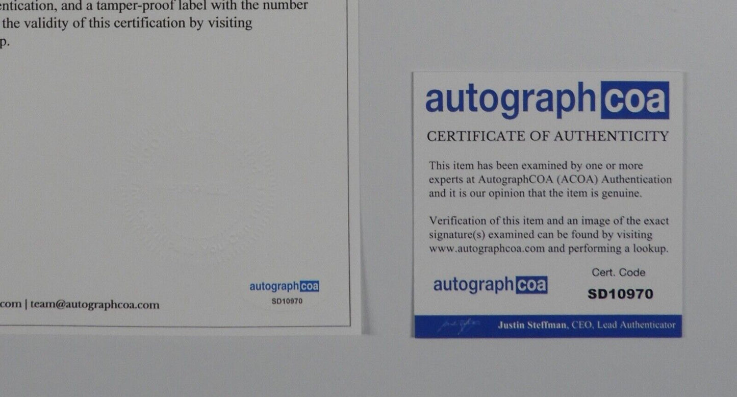 44264313