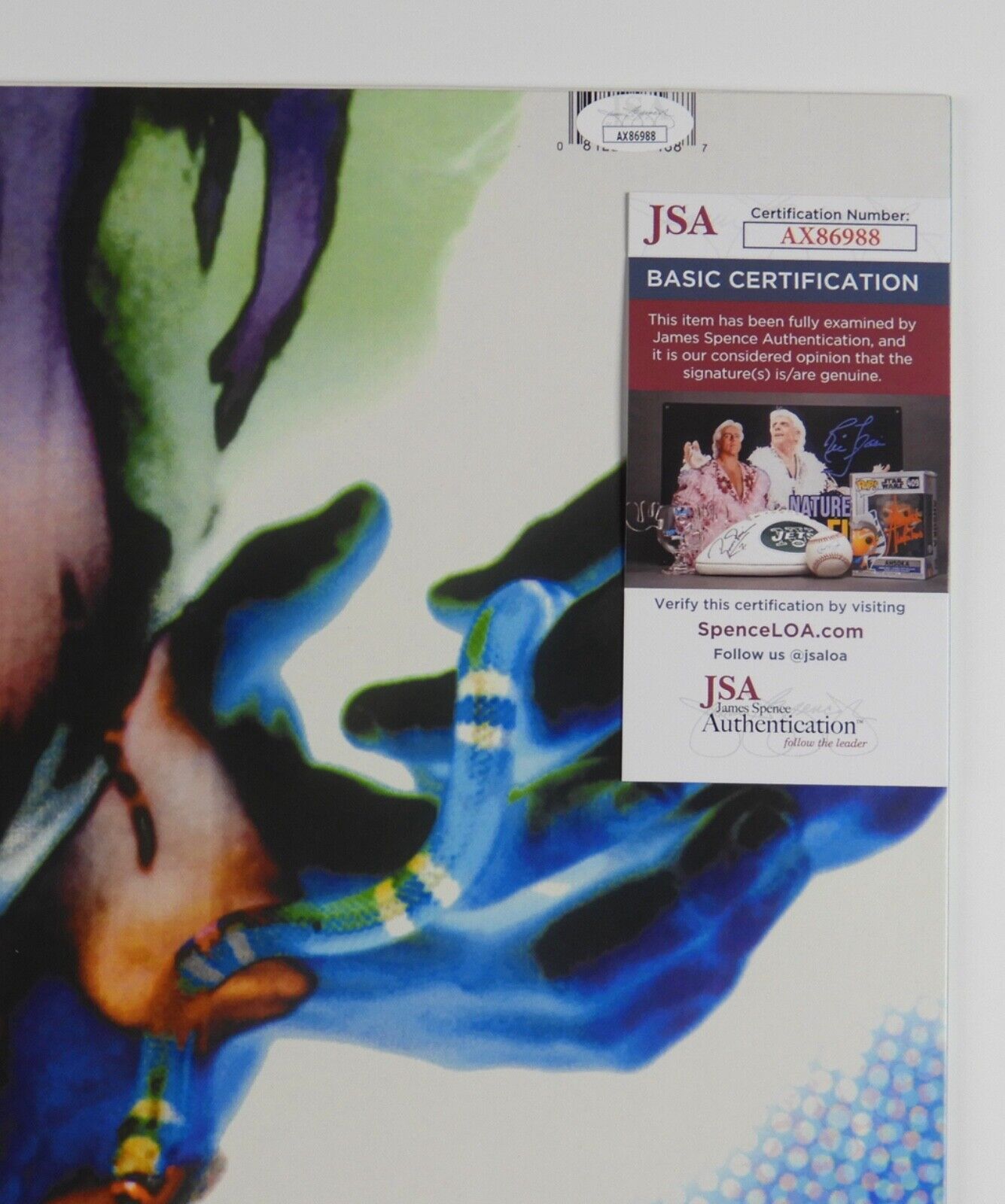 Alanis Morissette JSA Signed Autograph Record Album Vinyl Jagged Little Pill