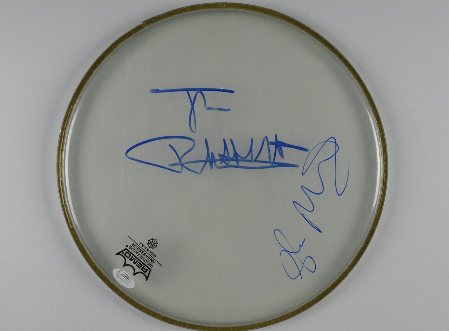 The Sex Pistols Autograph Signed Drum Head JSA COA 12" Johnny Rotten Glenn
