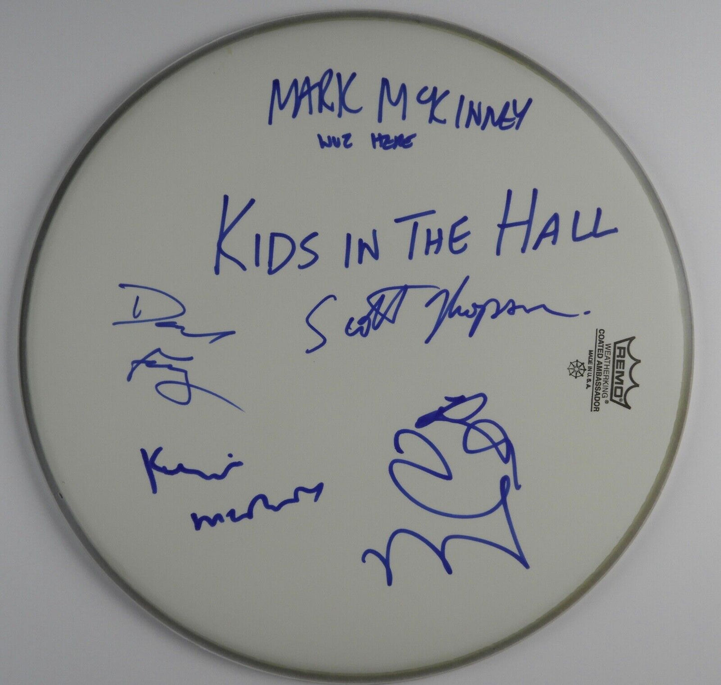 Kids In The Hall Autograph Signed Drum Head REAL COA 14"