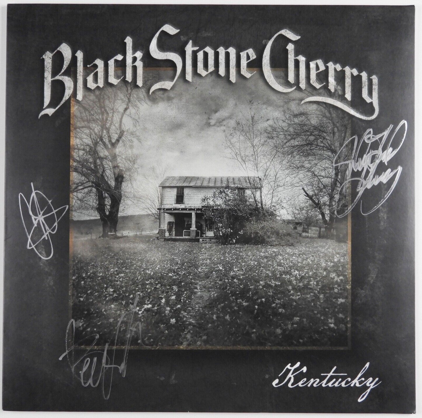 Black Stone Cherry JSA Signed Autograph Album Kentucky