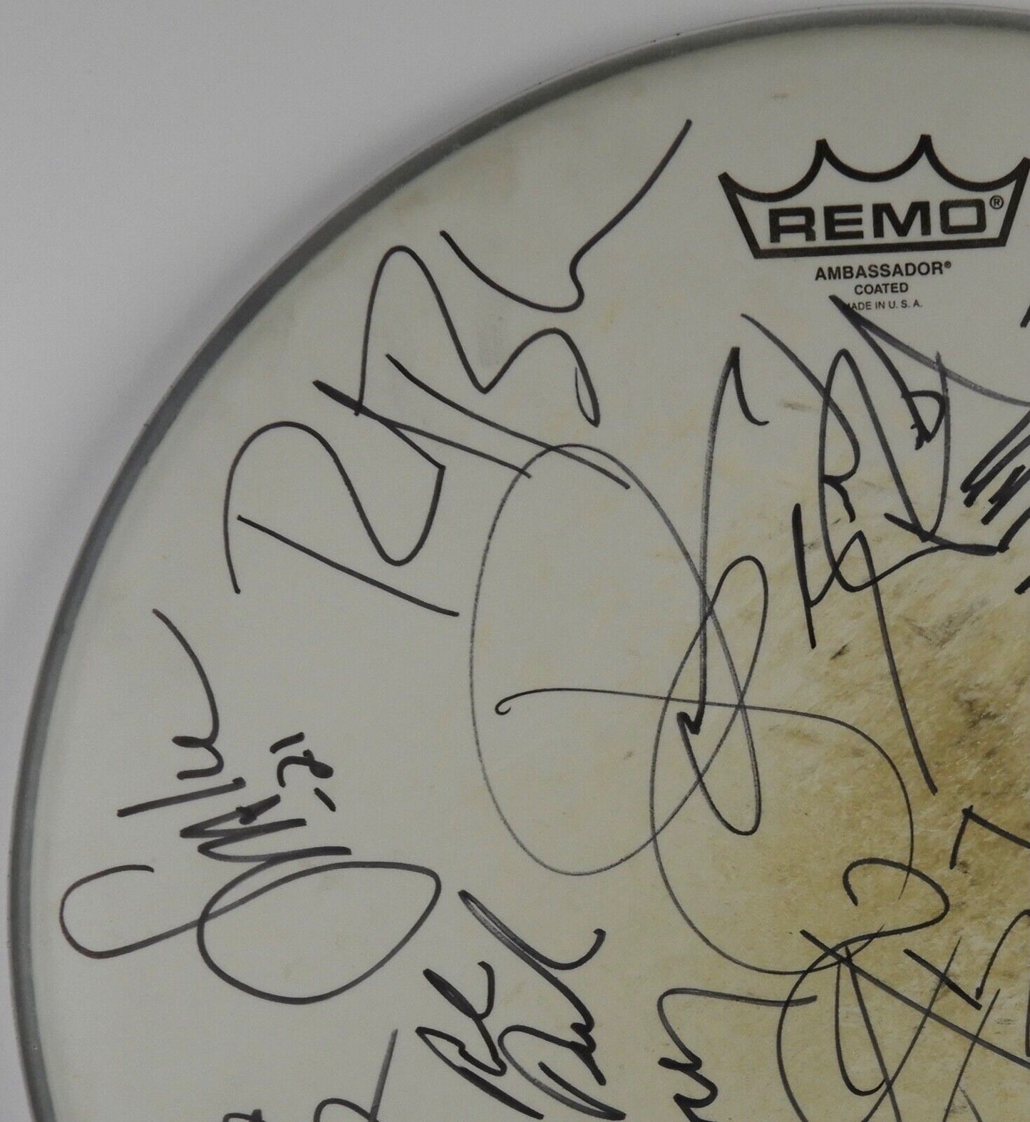 Skid Row Winger Great White JSA Autograph Signed Drum Head COA 14"