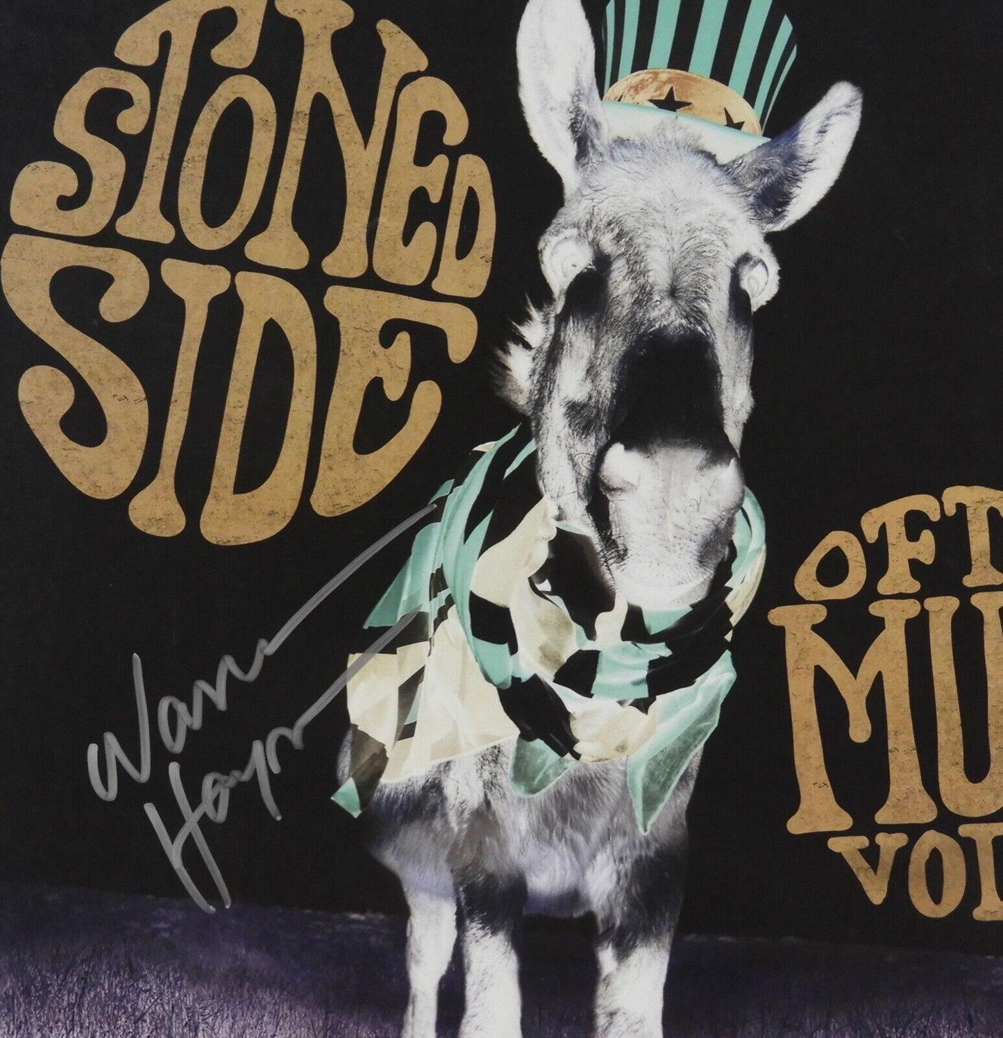 Warren Hayes Gov't Mule Signed JSA Autograph Album Record Vinyl