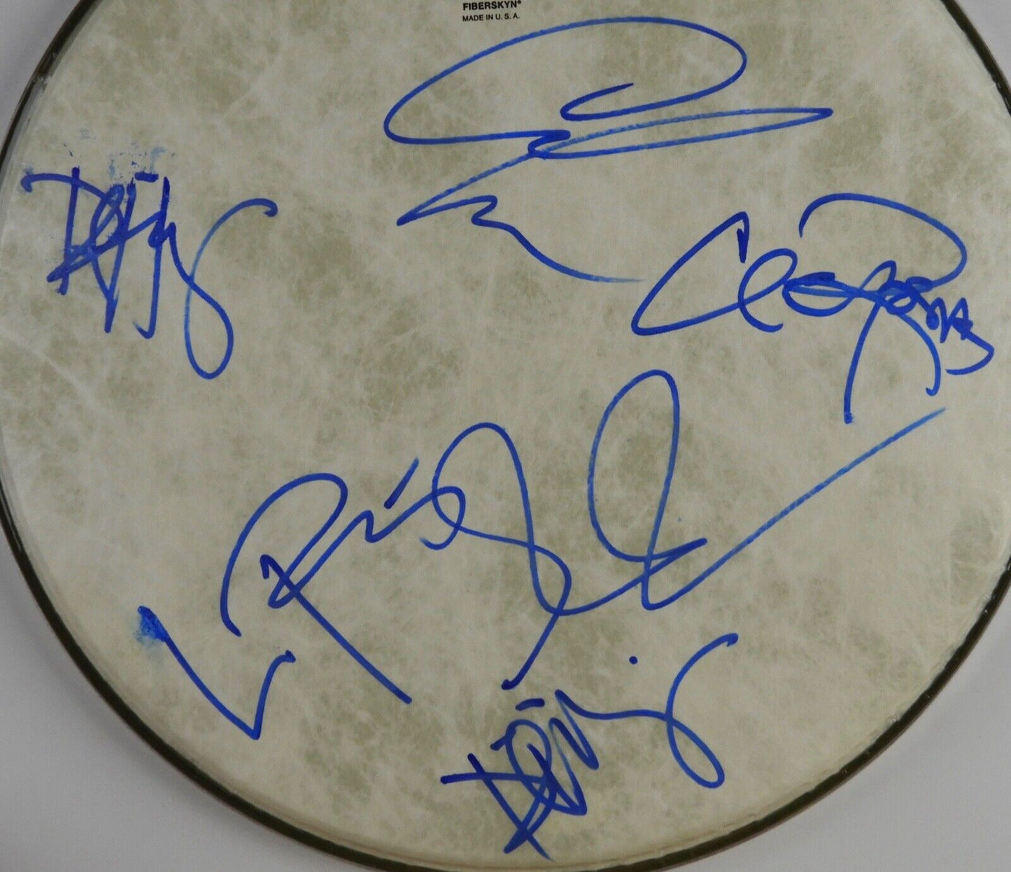 Los Lobos Fully Autograph Signed Drum Head JSA COA 12"