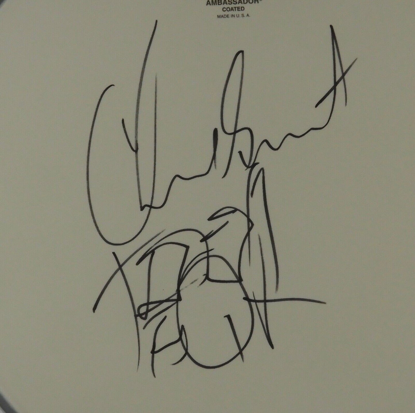 Chad Smith Red Hot Chili Peppers JSA Autograph Signed Drum Head 12" Drawing