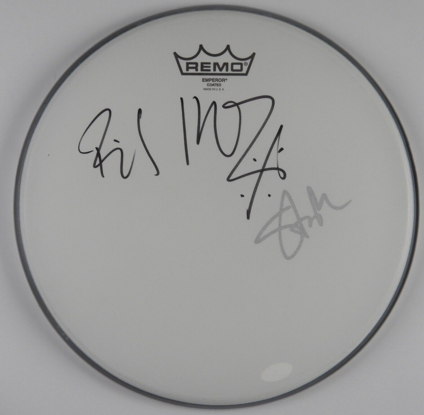 Billy Idol Steve Stevens Autograph Signed Drum Head JSA COA 12"