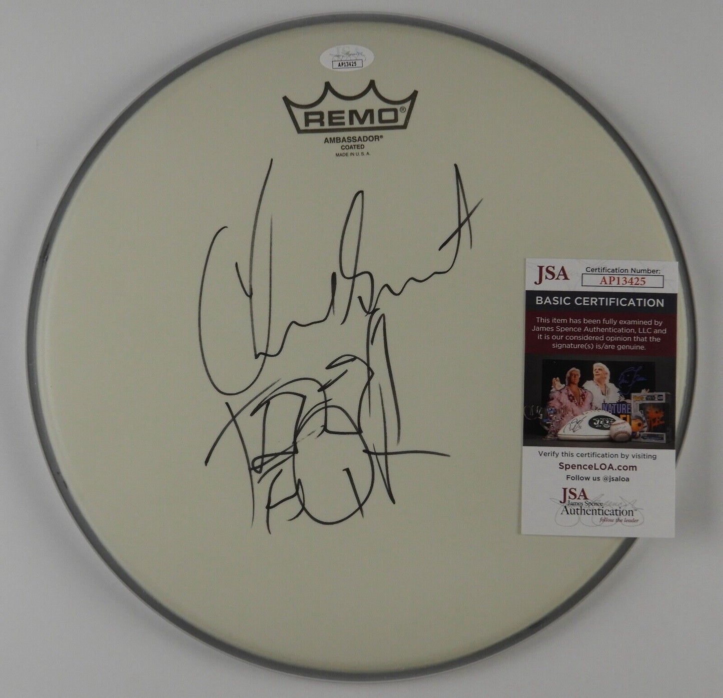 Chad Smith Red Hot Chili Peppers JSA Autograph Signed Drum Head 12" Drawing