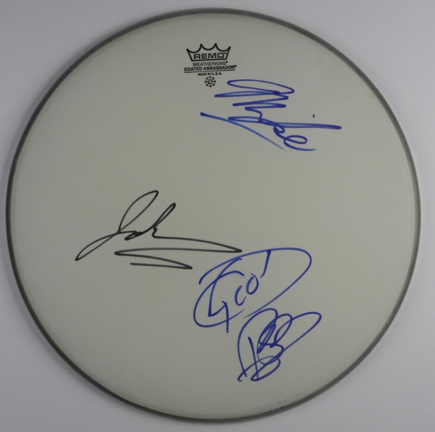 The Goo Goo Dolls Autograph Signed Drum Head REAL COA 14" Fully Signed