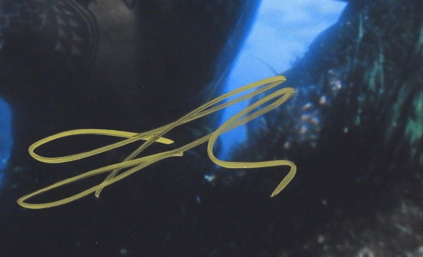 Aquaman Jason Moma Autograph JSA 11 x 14 Signed Photo