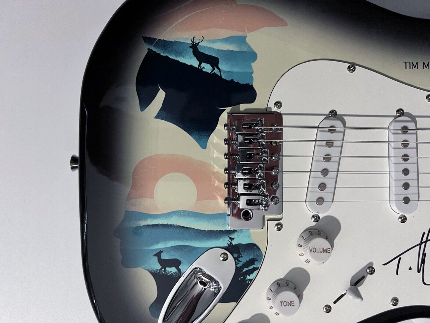 Tim McGraw Faith Hill signed guitar JSA Autograph Signed Stratocaster Guitar