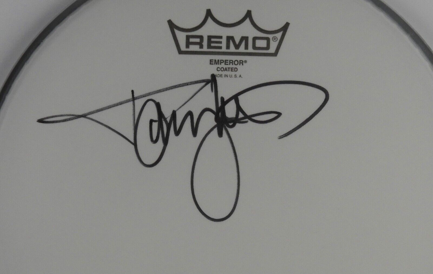 Tommy Lee Motley Crue Autograph Signed Drum Head JSA COA 10"