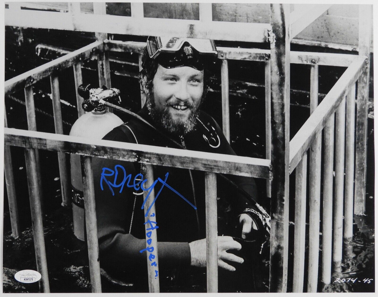 Richard Dreyfus JSA Signed Autograph Photo 11 x 14 Jaws Hooper