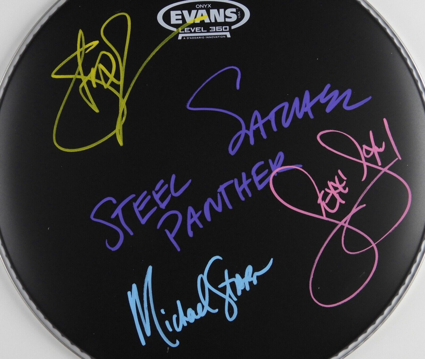 Steel Panther Autograph Signed Drum Head REAL 12" Michael Starr Stachel Stix