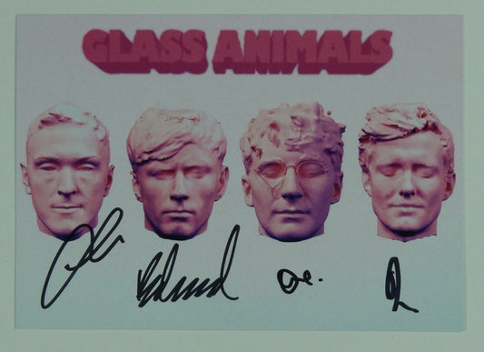 Glass Animals JSA Signed Autograph Dreamland Art Card Vinyl Fully Signed