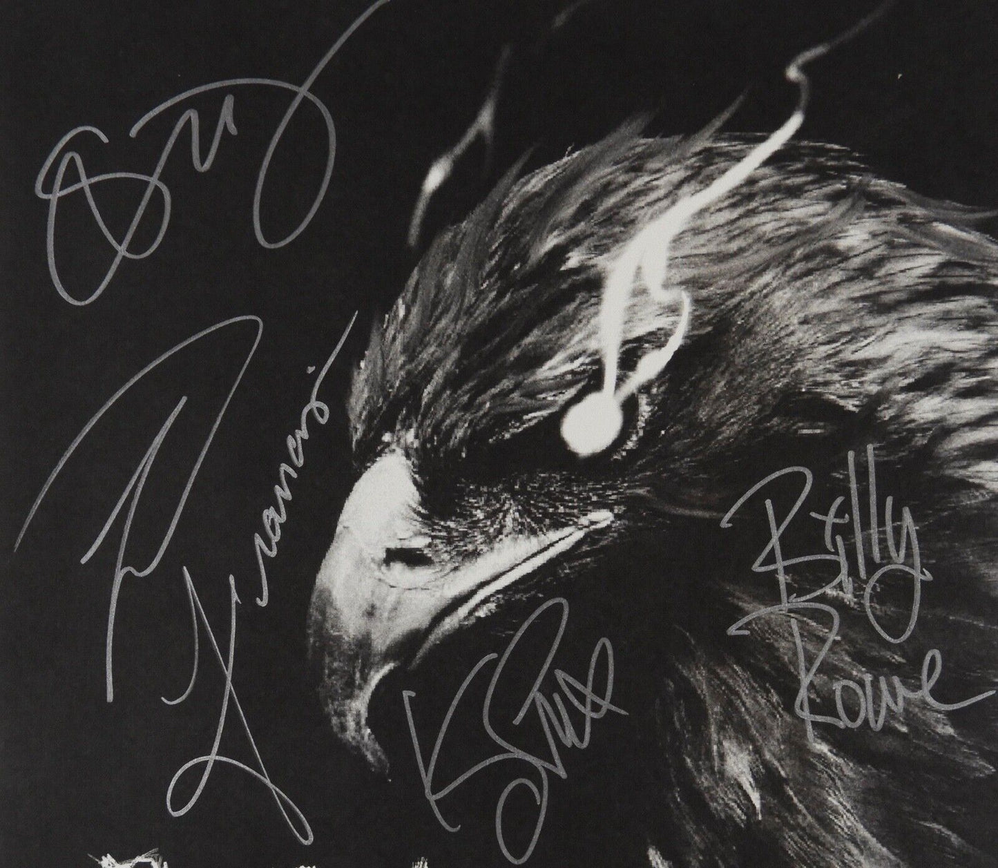 Buckcherry  JSA Signed Autograph Album Record Hell Bound