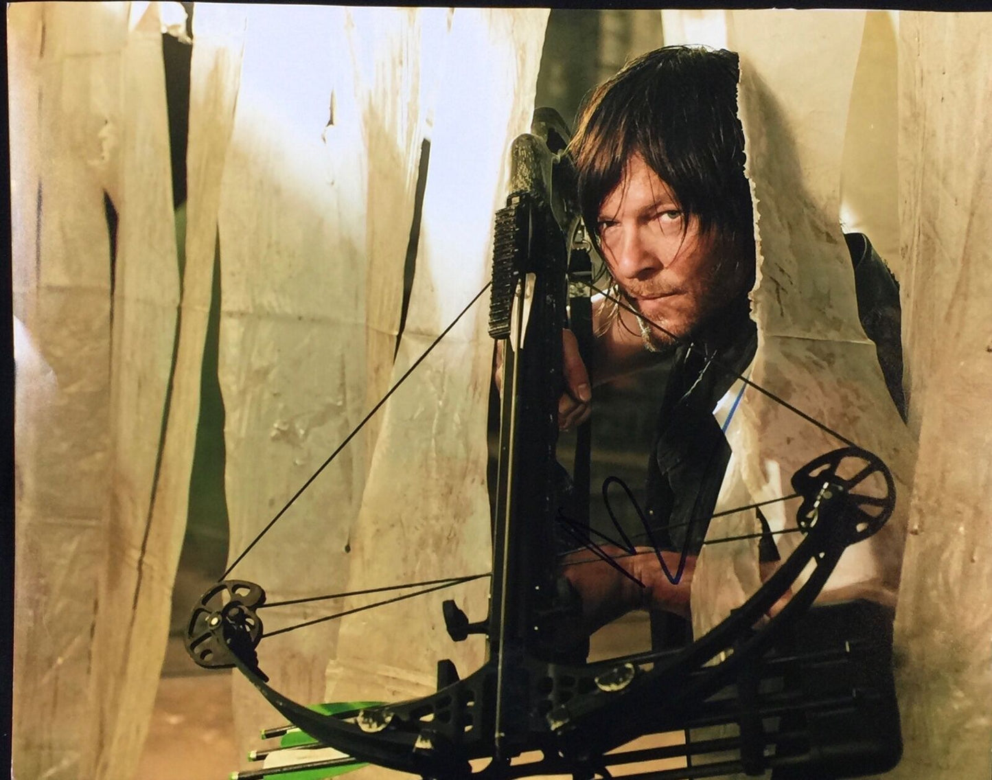 Norman Reedus Daryl JSA The Walking Dead Autograph Signed Photo