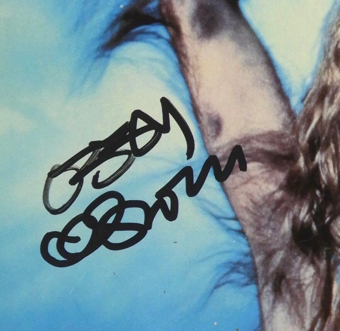 Ozzy Osbourne Autograph Signed Bob Daisley Bark At The Boom Tour Book program