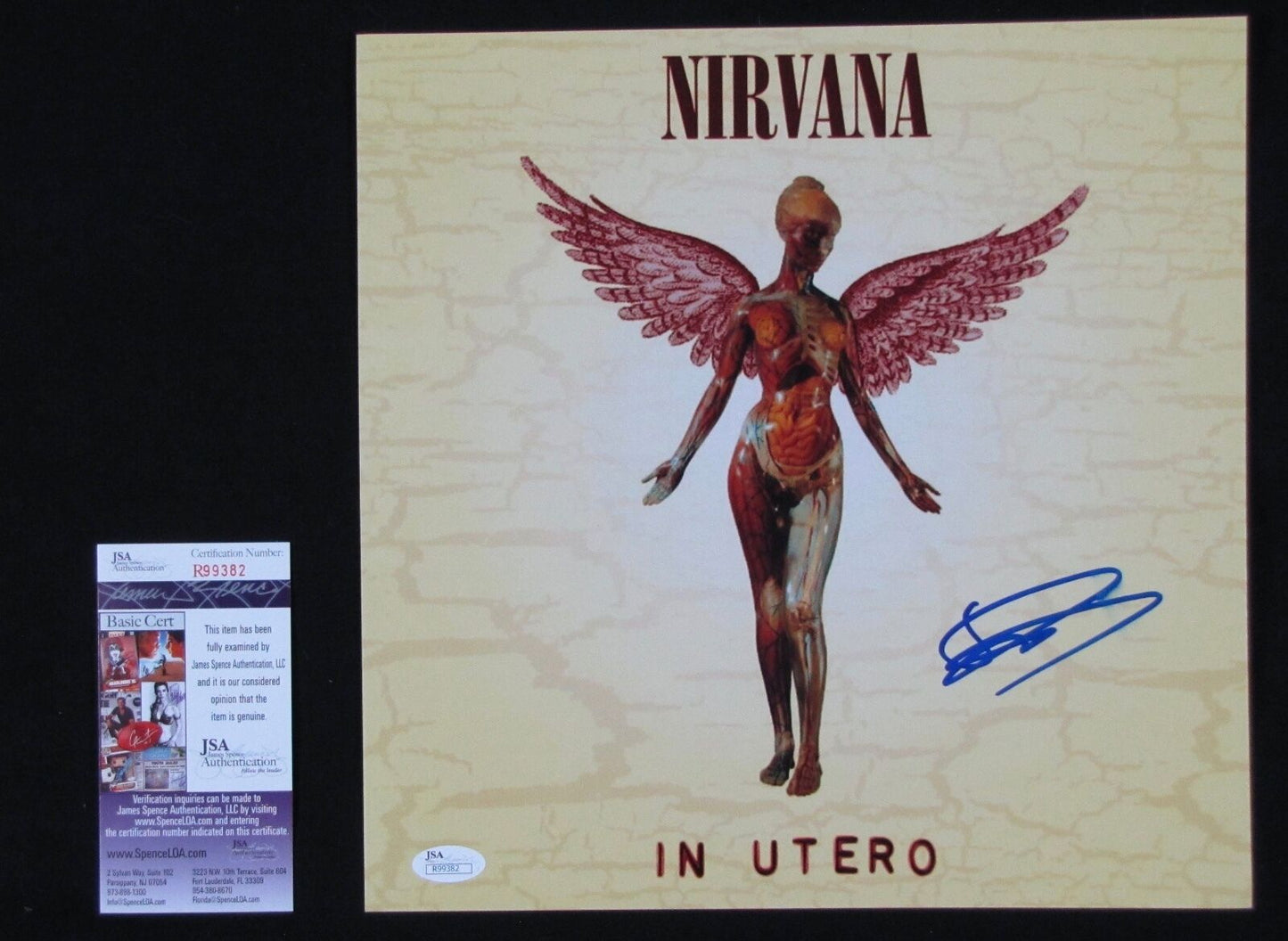 Dave Grohl Nirvana JSA 12 x 12 Photo Signed Autographed In Utero