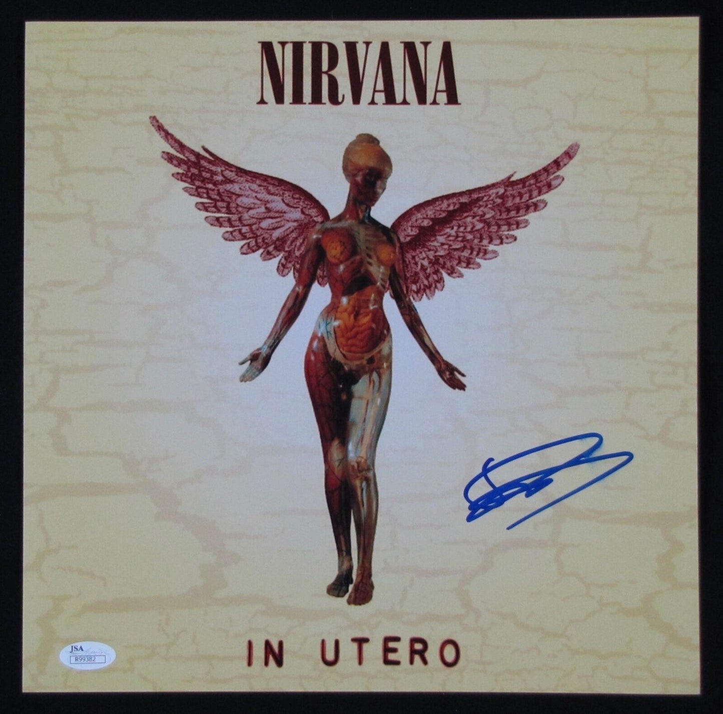 Dave Grohl Nirvana JSA 12 x 12 Photo Signed Autographed In Utero