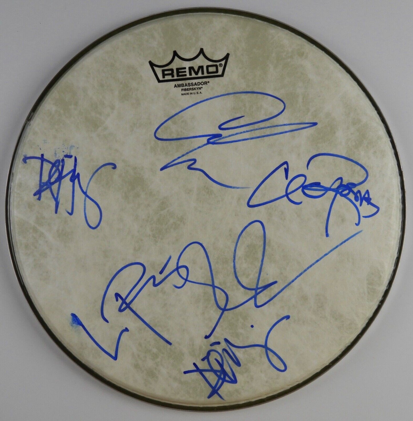 Los Lobos Fully Autograph Signed Drum Head JSA COA 12"
