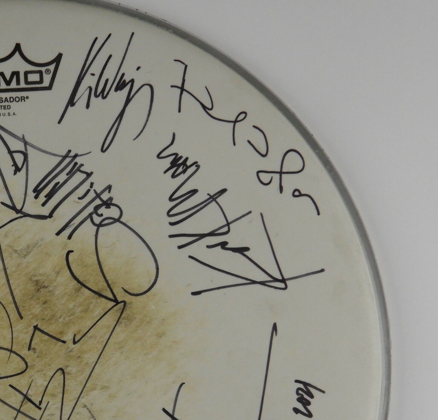 Skid Row Winger Great White JSA Autograph Signed Drum Head COA 14"