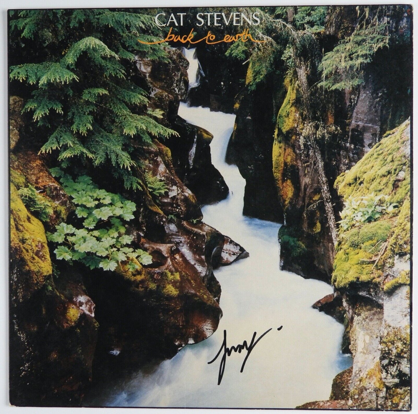 Cat Stevens JSA Signed Autograph Album Record Vinyl Back To Earth