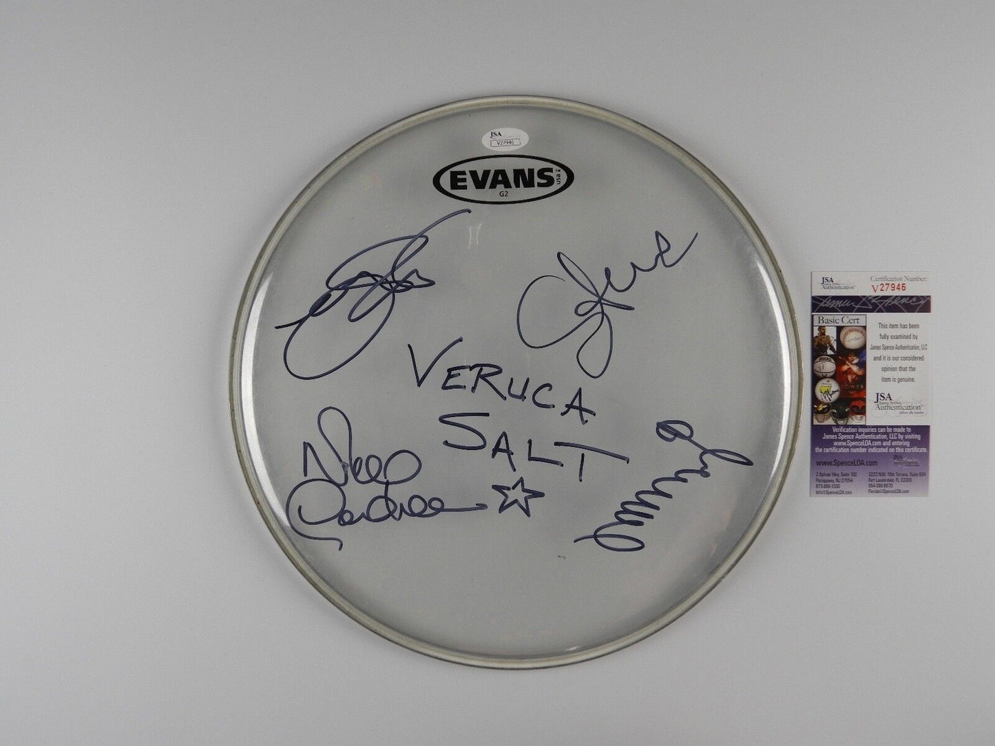Veruca Salt Full Band Autograph Signed Drum Head JSA COA